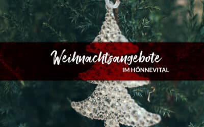 Unsere Weihnachtsangebote 2024